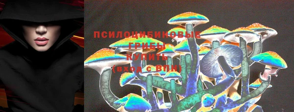 твердый Алексеевка