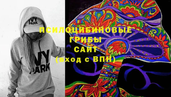 твердый Алексеевка