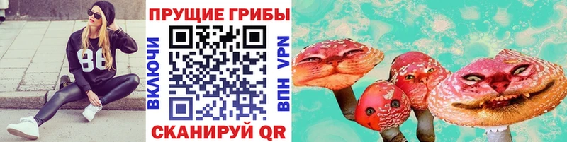 где найти наркотики  Сарапул  Псилоцибиновые грибы ЛСД 