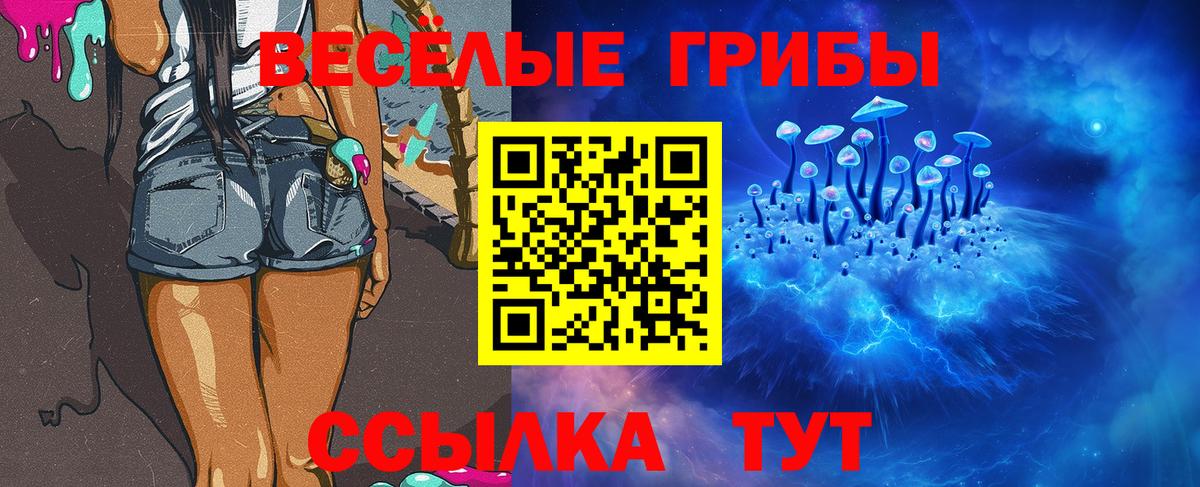 Сарапул  Галлюциногенные грибы GOLDEN TEACHER  наркошоп  Вход с VPN  Галлюциногенные грибы Magic Shrooms 